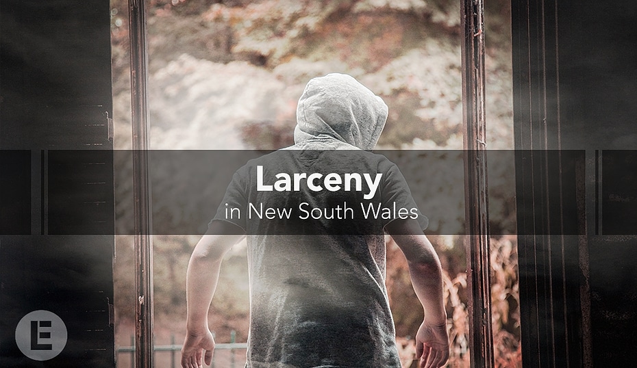 criminal lawyers in sydney blog on larceny in new south wales